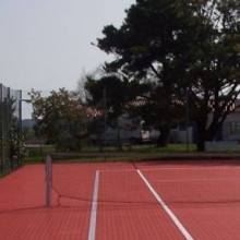 Модульное покрытие Bergo tennis