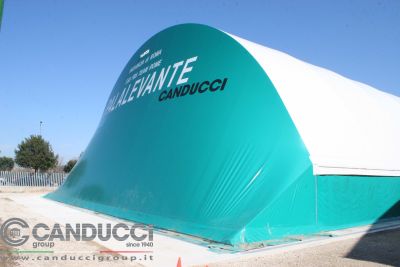 canducci 3